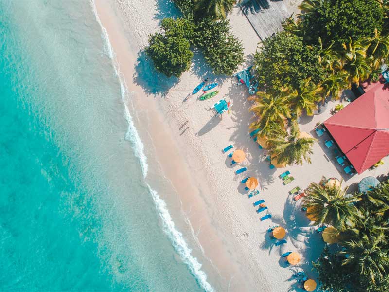 The Caribbean