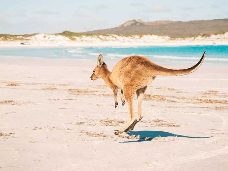 Australia