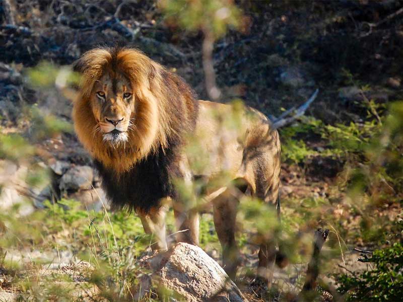 South Africa